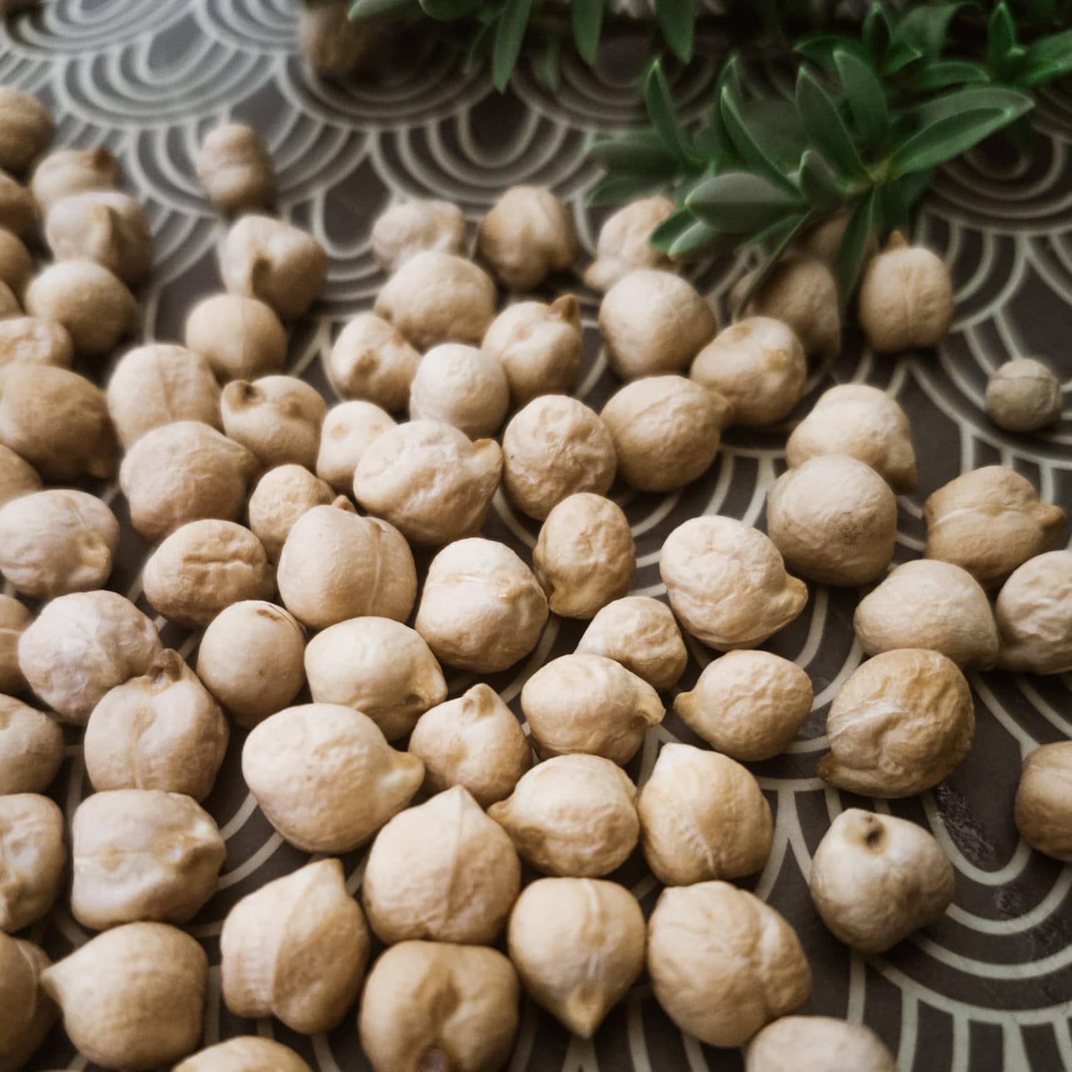 Comment cuire les pois chiches ? Méthode 100% facile 🙂